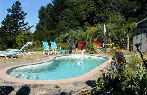 Vacation Rental with Spa and Pool on Winery near Healdsburg, California - Foto 5