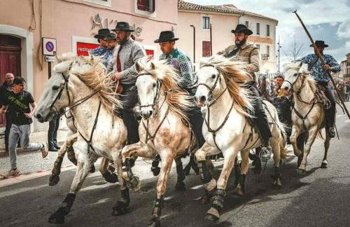 LE TOLOSANA - Appartement 4 personnes - Centre WiFi Cosy - Foto 30