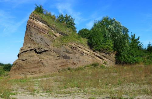 Haus Gertrud - Foto 16