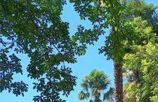 Au Moulin du Comte - en gîte - Photo 29