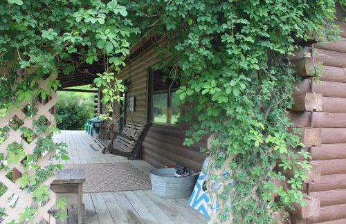 Bushwood Cabin - Foto 4