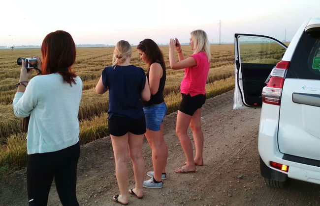 Doñana Day Trip - Foto 12