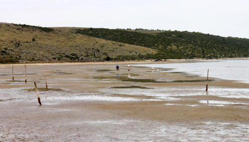 Apartments with swimming pool Poljica, Zadar - 13838 - Foto 5