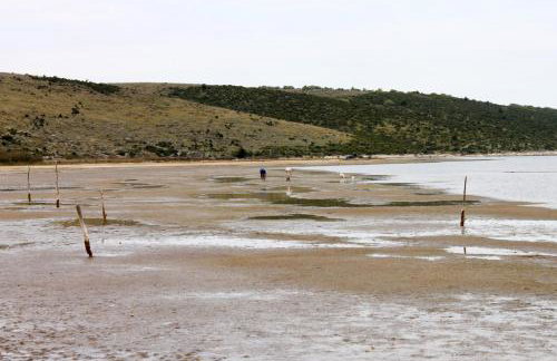Apartments with swimming pool Poljica, Zadar - 13838 - Foto 5