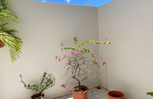 Salines Sutios - Photo 10