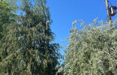 Cottage nestled in the heart of a stunning Suffolk Village - Foto 29