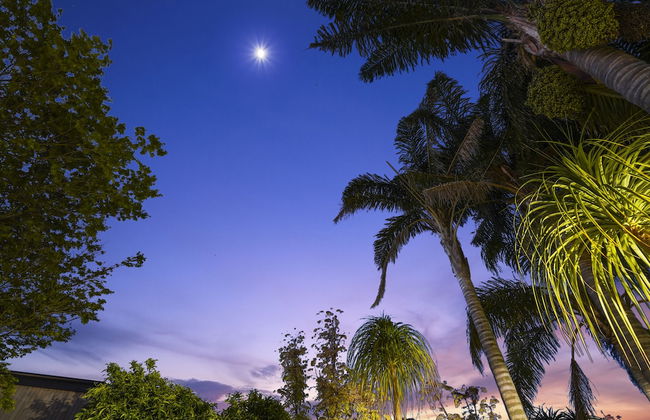 Gorgeous Family Home-Fully Fenced & Toys - Foto 41