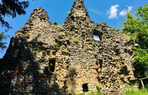 Landhaus Bergheimat in Burgberg für bis zu 14 Personen - Photo 41