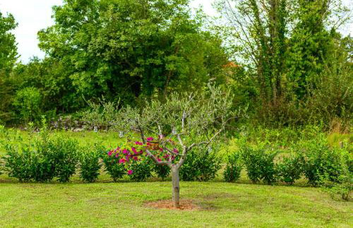 Holiday Apartment Ariella - Photo 45