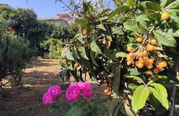 Garden house escape - Foto 26