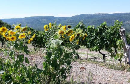 Apartment Bataja - Foto 17