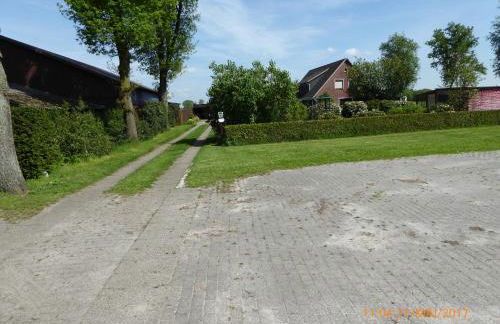 Schmidtfewo Moorgeist - Foto 6