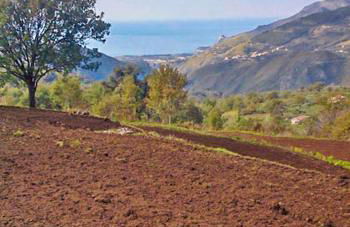 Agriturismo Terrerosse di Massadita - Foto 66