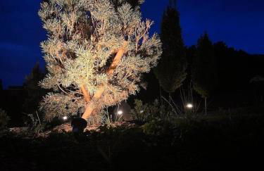 Chalet Deluxe - Foto 31