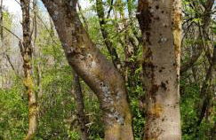 Zur alten Tischlerei - Foto 69