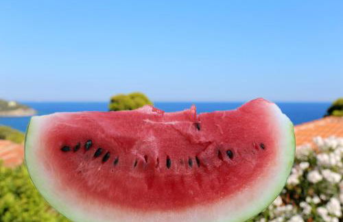 Yiannis Studios - Foto 32