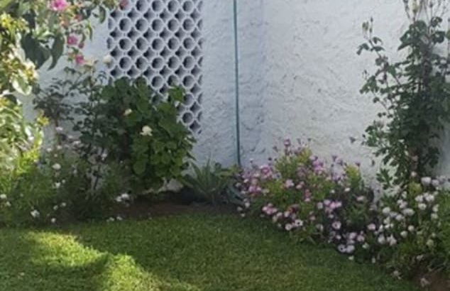 El Capistrano Sur - Foto 76