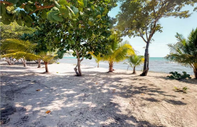 Alterhome Mini Villa Seahorse - Foto 23