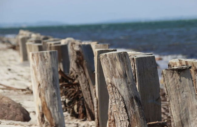 My Baltic Sea Place House by the sea 8 - Foto 16