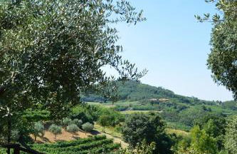 Colle Del Barbarossa - Foto 51