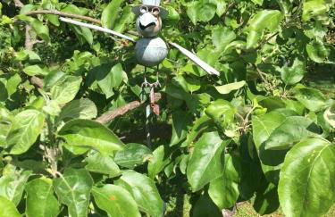 Ferienhaus an der Selke - Foto 13