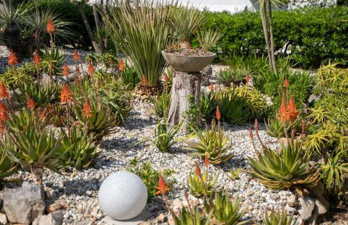 Aurora Lukorana - Photo 37