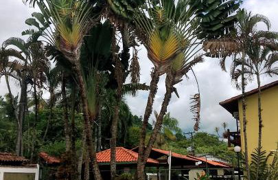 Casamarela - Foto 52