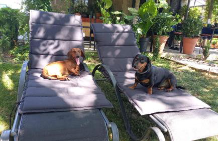 Private House with View near Samobor Ideal for Couples & Pets - Photo 31