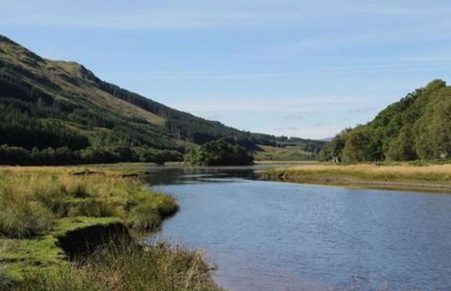 The Osprey - Foto 12