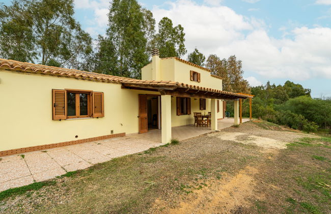 Eucalipto - Photo 32