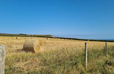 Detached Bungalow in North Cornwall - Foto 36