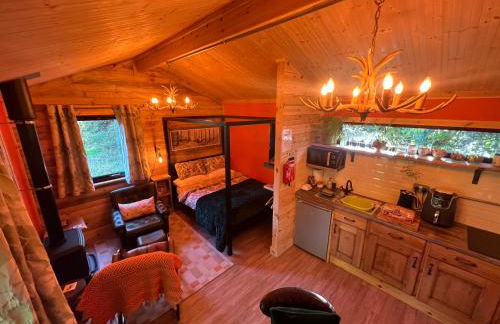 Deer View Cabin - Woodland, beaches and Hot tub - Foto 5
