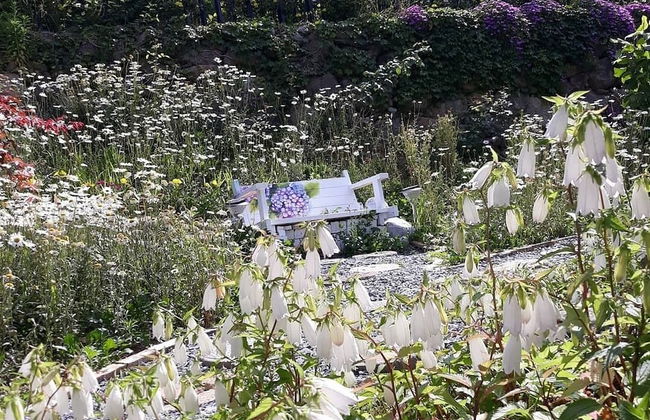 Emotion Pension - Foto 28