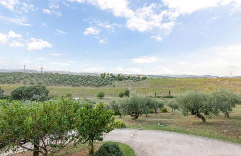 Beautiful Apartment In Moscufo - Foto 4