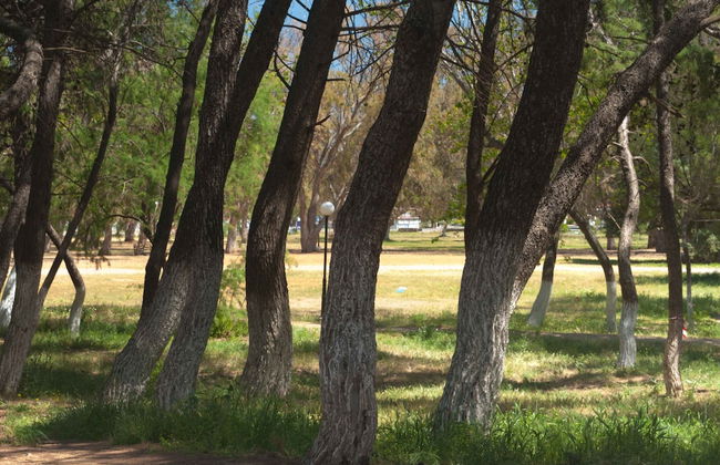 Rainbow Apartments - Foto 34