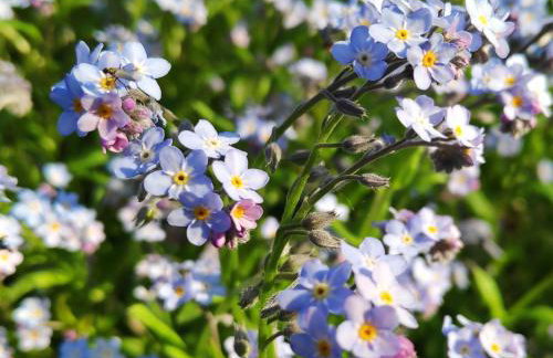 SMARAGD RIVER near Rastoke & Plitvice Lakes - Foto 51