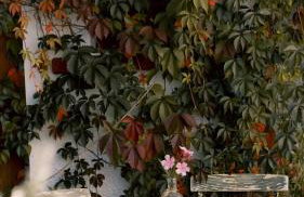 Apartamenty sudeckie nad zalewem I-IV między Karpaczem a Szklarską Porębą w Karkonoszach - Foto 68