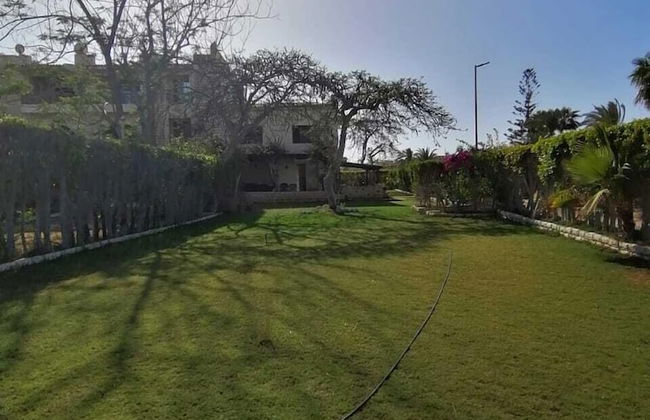 Marina Village North Coast - Photo 31