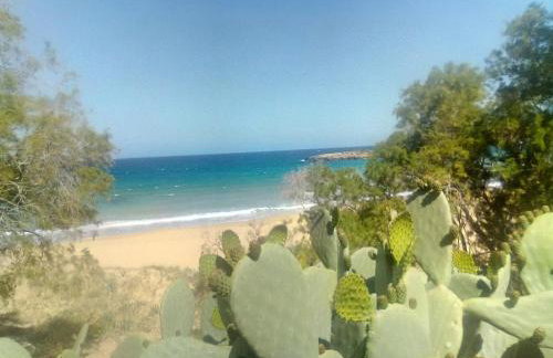 Manolo s olive farm, apartment with seaview - Foto 26