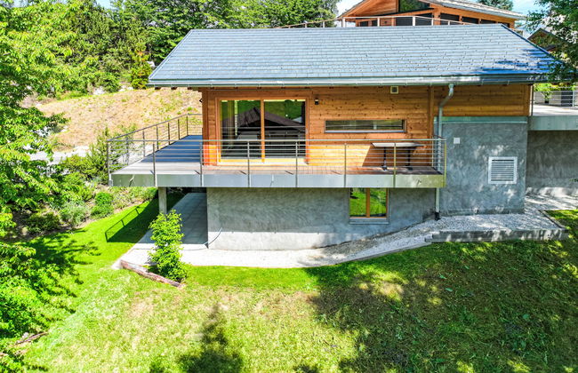 Les penguins - Foto 4