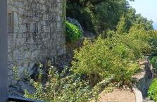 Quinta da Abelheira - Foto 36