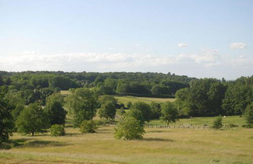 Domaine équestre de la Chênaie - Foto 24