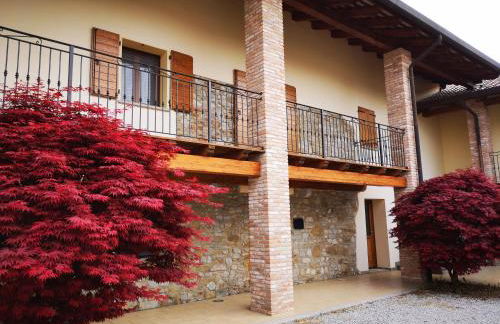 Pizzulin - Wine & Living - Foto 25