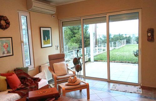 Spacious, Shiny, SeaView Villa, in Theologos - Foto 9