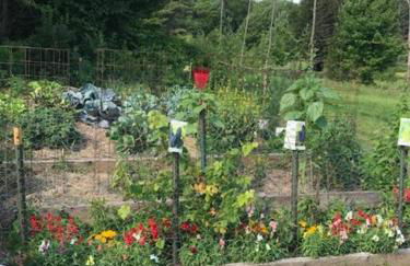 The Hunter Cabin at Sky Hollow - Foto 17