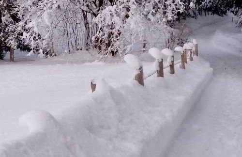Ferienhof Am Holderbusch - Foto 6
