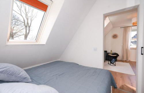 Kleiner Seestern - Foto 17