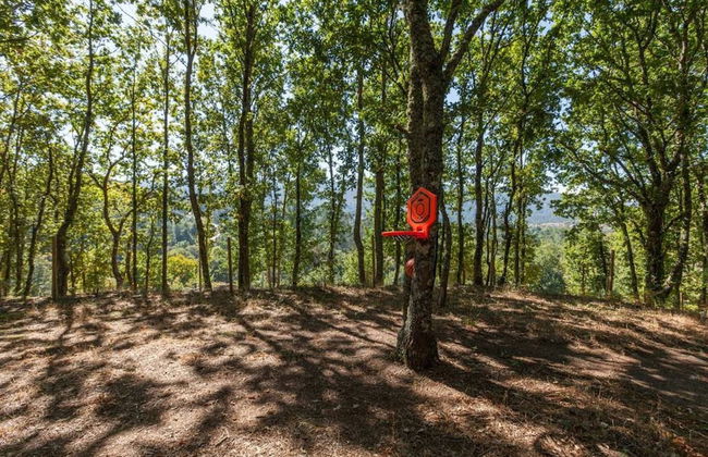 Suite Familiar Conheca O Minho E Descanse Em Plena Natureza - Foto 7