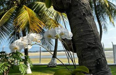 Casa aconchegante para sua família na beira mar - Foto 39