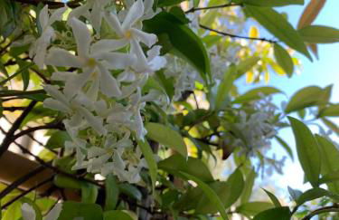 'Little Eaton Margate' Perfectly located Town House by the Sea, with FREE parking! - Foto 16